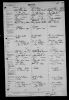 Violet Dorothy Pilgrim - Birth Record