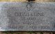 Cletus Leonard Lins - Headstone