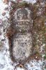 Lucy M. Perry - Headstone