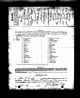 James Charles Turner and Sophia Jane Dolmage - Marriage License